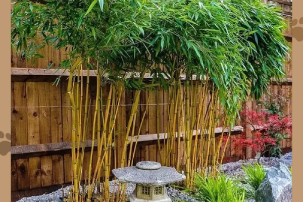 竹子在院子哪个方位好 竹子在院子哪个方位好