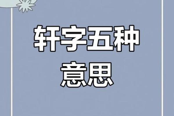 名字测试打分免费的轩 名字测试打分免费的轩