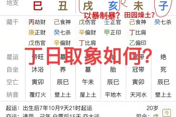 八字取象法 第13集 如何用八字取象 八字取象法 第13集 如何用八字取象