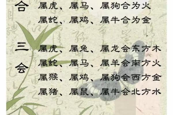 八字软：属相、性格特点、缺点分析及改善方法