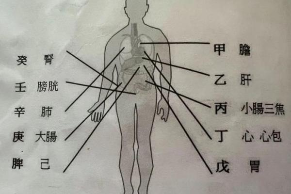 八字如何看健康与疾病 （二）