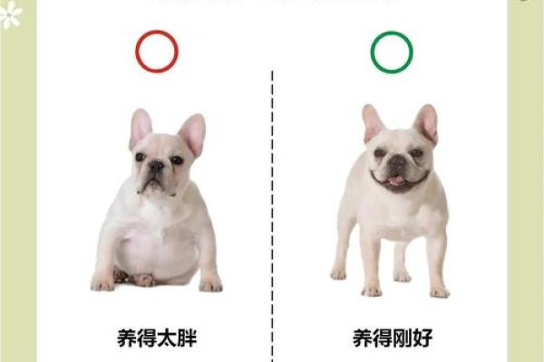 哪些人八字中不宜吃狗肉 哪些人八字中不宜吃狗肉