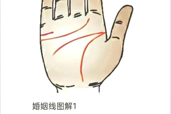 八字和手相 八字和手相