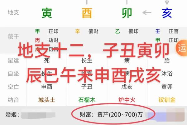 八字地支为亥的女命