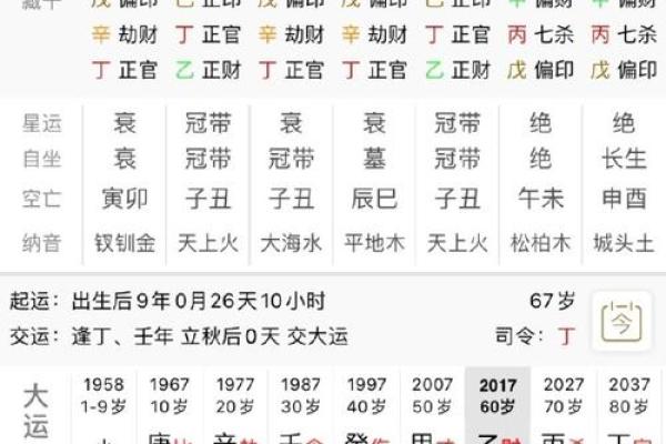 八字癸亥日