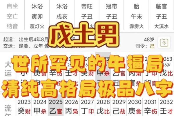 八字中更高格局