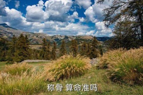 梦见算命说我月底会死去 梦见算命说我月底会死去