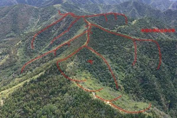 阴宅解说关于墓地朝向风水凶吉