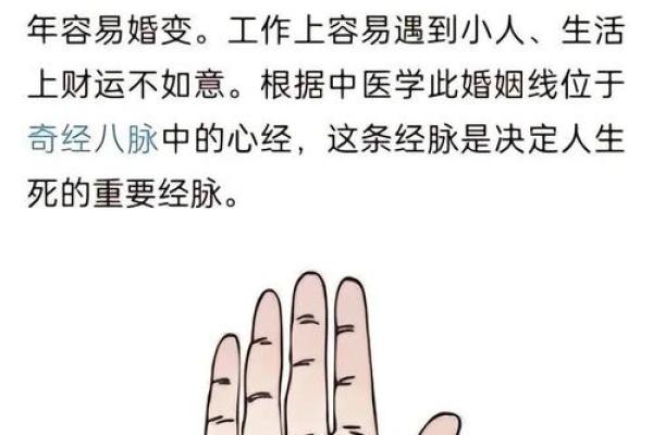 女性手掌纹算命图解婚姻