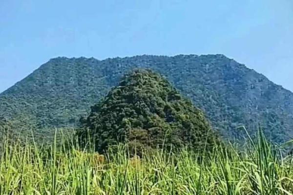 风水点穴_青蛙捕食穴应点在什么地方