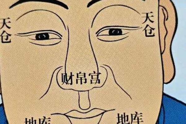 风水上发际线高有福气发际线图片 风水上发际线高有福气发际线图片