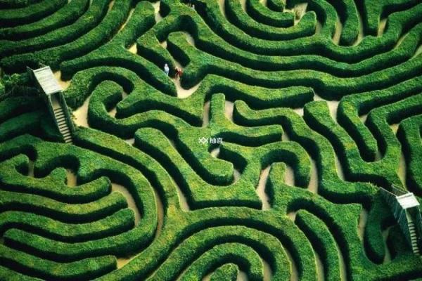 风水女人梦见绕来绕去找不到出路怎么办