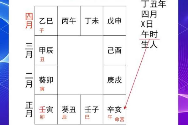 八字命宫辛亥是什么意思