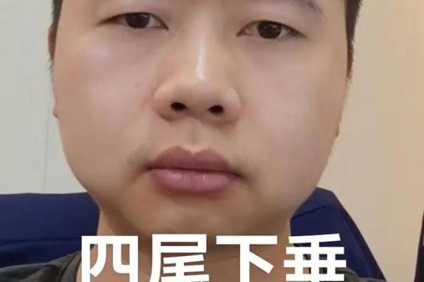 八字眉眉尾下垂的男人面相解析 八字眉眉尾下垂的男人面相解析