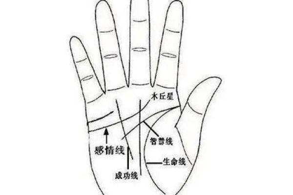 男人断掌手纹算命图解 男人断掌手纹算命图解