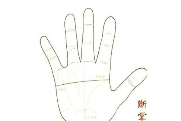 男人断掌手纹算命图解 男人断掌手纹算命图解