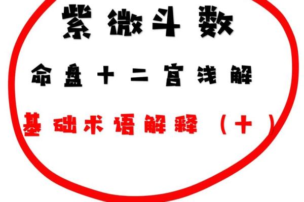 紫薇斗数术语逢