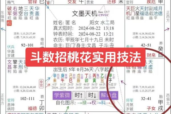 紫薇斗数精成国学 紫薇斗数精成国学