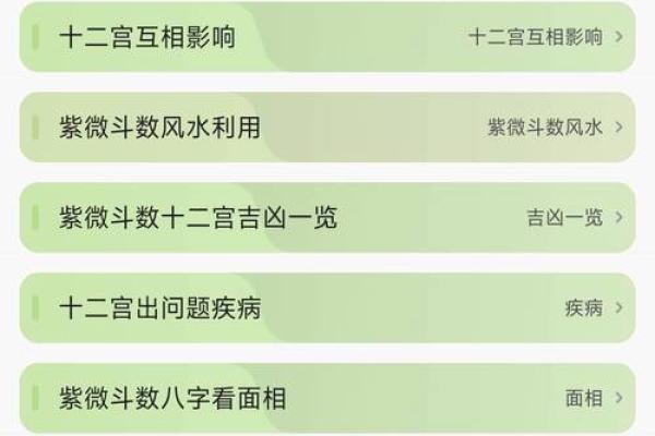 紫薇斗数宫主 紫薇斗数宫主