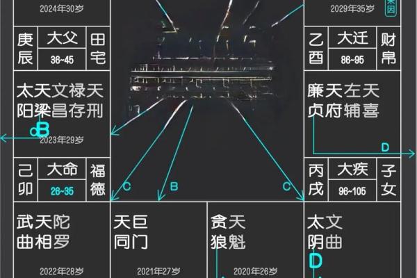 紫薇斗数事业详细解释