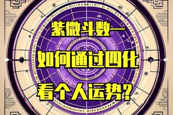 四化紫薇斗数招生 四化紫薇斗数招生