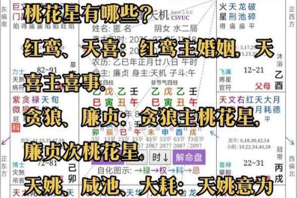 紫薇斗数看名气 紫薇斗数看名气