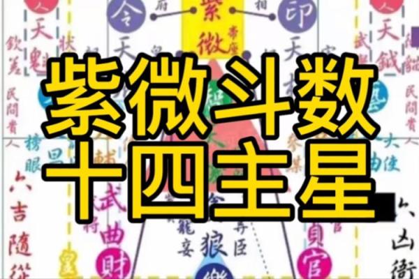 紫微斗数十四主星:廉贞星概论 紫微斗数十四主星:廉贞星概论