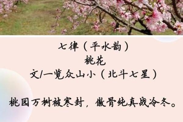 紫薇斗数流年桃花