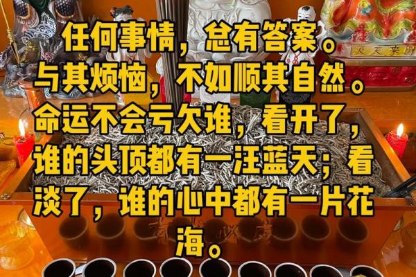 孕妇梦见算命的给别人算命