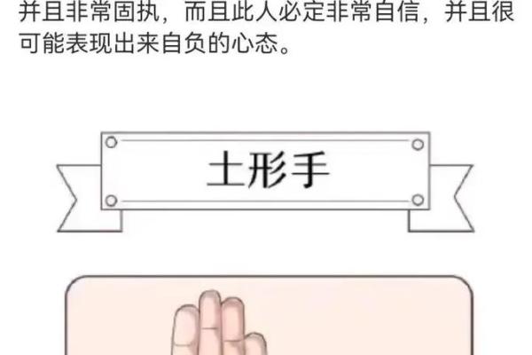 手型算命：兼型手人的性格与命运