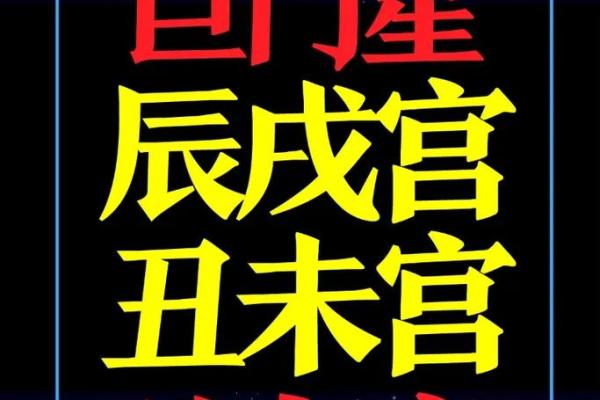 紫薇斗数身主天机