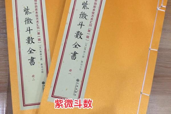 紫微斗数rumen 紫微斗数入门全书？