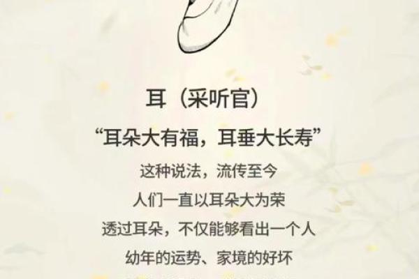 耳相算命图解，如何从耳相看人的命运