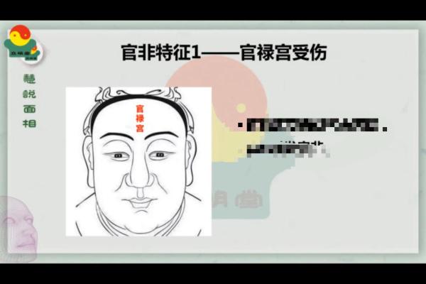 紫薇斗数的官禄宫 紫薇斗数的官禄宫