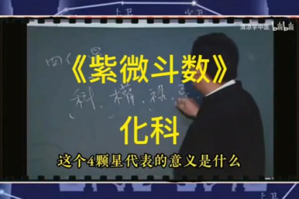 紫薇斗数各个派别 紫薇斗数各个派别