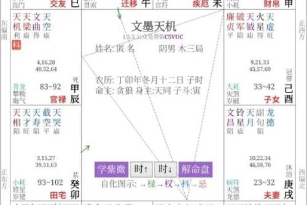 紫薇斗数重逢 紫薇斗数重逢