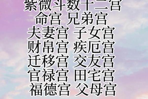 紫薇斗数旺衰