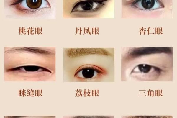 眼相算命图解大全