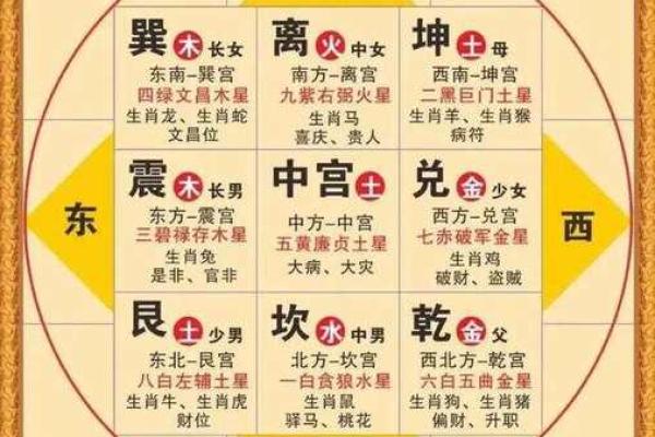 紫薇斗数命盘案例