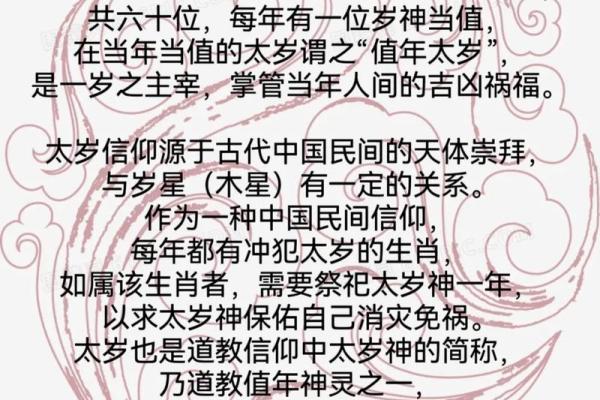 飞星紫微斗数用太岁入卦 紫微斗数太岁指什么？