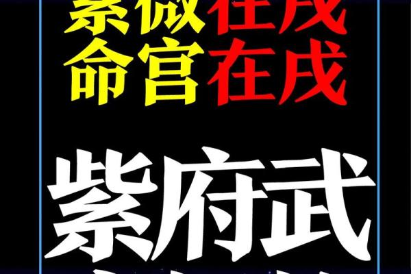 紫薇斗数限流盘