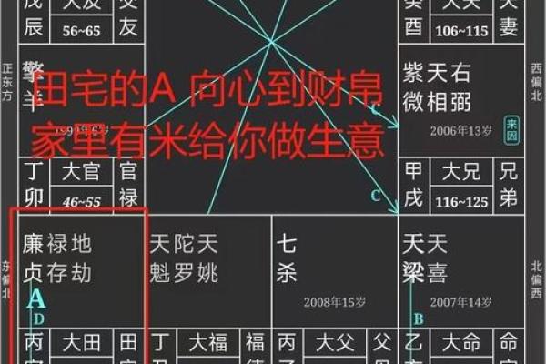 紫薇斗数看仕途