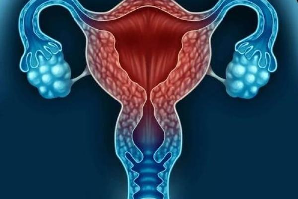 女性来例假不能算命吗知乎