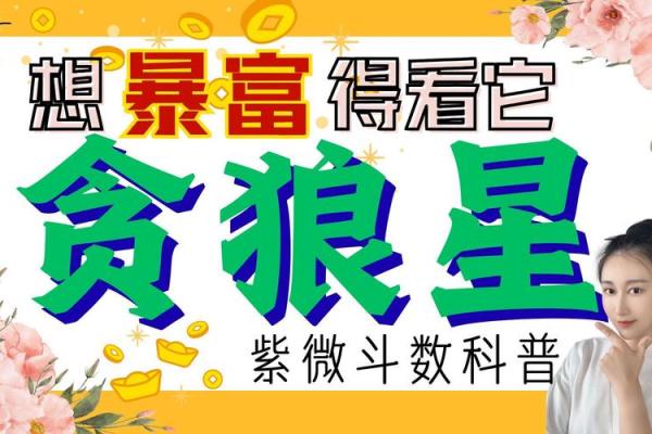 注定紫薇斗数吧