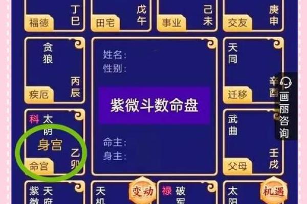 紫薇斗数命宫位置 紫薇斗数命宫位置
