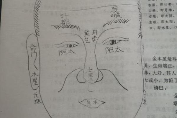 麻衣相算命 麻衣相算命