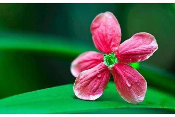 揪着别人的心算命