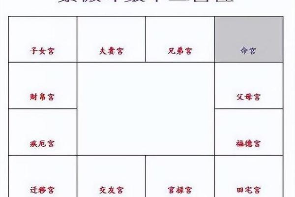 古天乐紫薇斗数