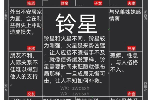 唐艺尹老师：紫薇斗数主星解释