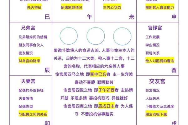 紫薇斗数看男女